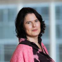 Veerle de graef portrait image