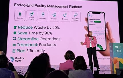 PoultrySync: Empowering Farmers Through Data-Driven Poultry Production