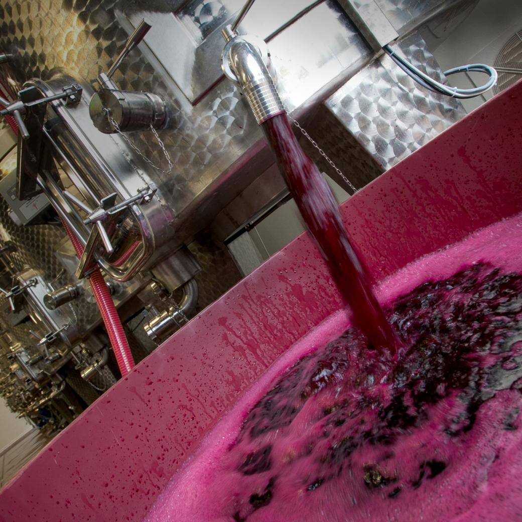 wine making 